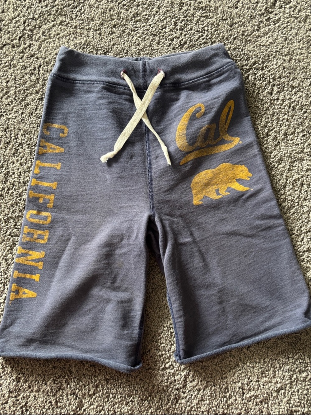Kids Grey 'Cal' Graphic Sweat Shorts with Gold Print